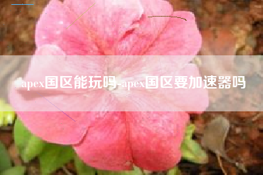 apex国区能玩吗-apex国区要加速器吗