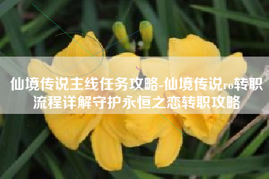仙境传说主线任务攻略-仙境传说ro转职流程详解守护永恒之恋转职攻略
