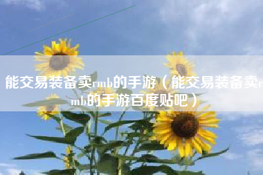 能交易装备卖rmb的手游（能交易装备卖rmb的手游百度贴吧）