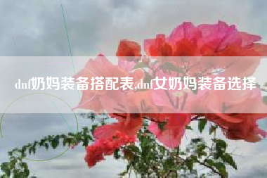 dnf奶妈装备搭配表,dnf女奶妈装备选择