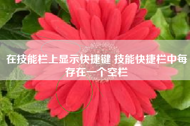 在技能栏上显示快捷键 技能快捷栏中每存在一个空栏