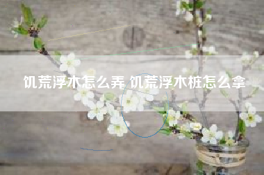 饥荒浮木怎么弄 饥荒浮木桩怎么拿