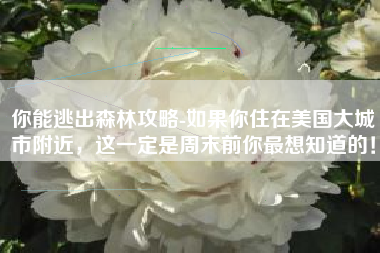 你能逃出森林攻略-如果你住在美国大城市附近，这一定是周末前你最想知道的！
