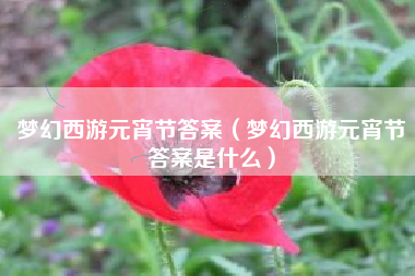 梦幻西游元宵节答案（梦幻西游元宵节答案是什么）