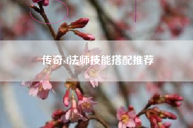 传奇sf法师技能搭配推荐