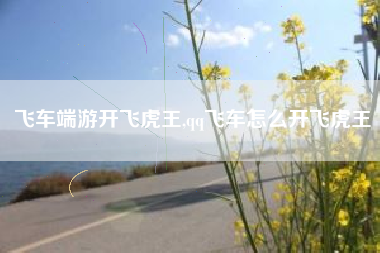 飞车端游开飞虎王,qq飞车怎么开飞虎王