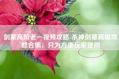 剑冢高阶老一视频攻略-杀神剑墓高级攻略合集，只为方便玩家使用
