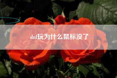 dnf玩为什么鼠标没了