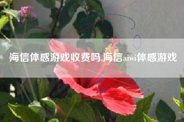 海信体感游戏收费吗,海信aiwi体感游戏