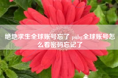 绝地求生全球账号忘了 pubg全球账号怎么看密码忘记了