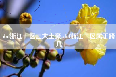 dnf浙江一区三大土豪-dnf浙江二区属于跨几