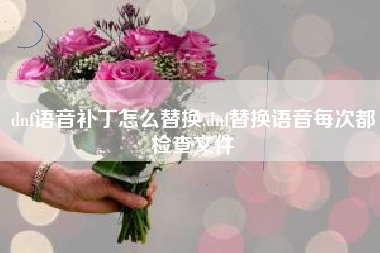 dnf语音补丁怎么替换,dnf替换语音每次都检查文件
