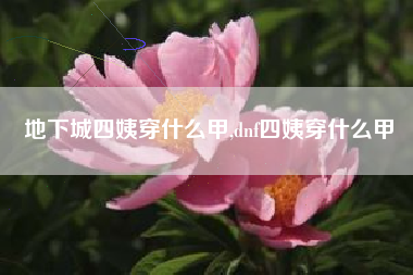 地下城四姨穿什么甲,dnf四姨穿什么甲