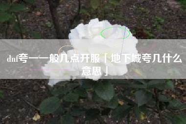 dnf夸一一般几点开服「地下城夸几什么意思」
