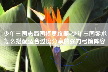 少年三国志蜀国将灵攻略-少年三国零术怎么搭配适合过度分享的强力弓箭阵容