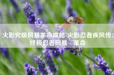 火影究级风暴革命攻略-火影忍者疾风传：终极忍者风暴 - 革命