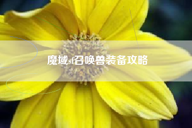 魔域sf召唤兽装备攻略