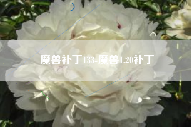 魔兽补丁133-魔兽1.20补丁