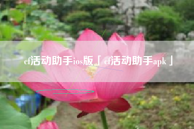 cf活动助手ios版「cf活动助手apk」