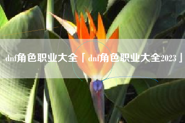 dnf角色职业大全「dnf角色职业大全2023」