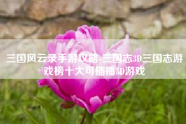 三国风云录手游攻略-三国志3D三国志游戏榜十大可插播3D游戏