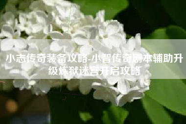 小志传奇装备攻略-小智传奇剧本辅助升级炼狱迷宫开启攻略