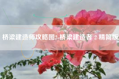 桥梁建造师攻略图2-桥梁建造者 2 精简版