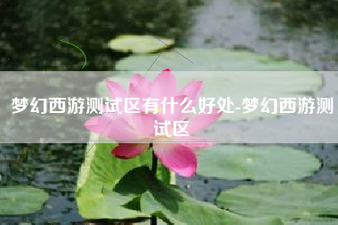 梦幻西游测试区有什么好处-梦幻西游测试区