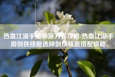 热血江湖手游邪派刀客攻略-热血江湖手游剑侠技能选择剑侠技能搭配攻略