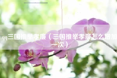 qq三国推举孝廉（三国推举孝廉怎么增加一次）