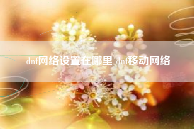 dnf网络设置在哪里 dnf移动网络