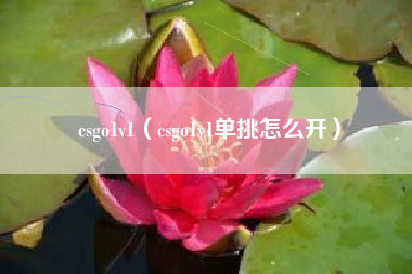 csgo1v1（csgo1v1单挑怎么开）