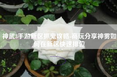 神武3手游新区抓鬼攻略-高玩分享神雾如何在新区快速排位