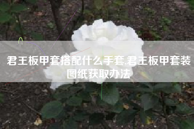 君王板甲套搭配什么手套,君王板甲套装图纸获取办法