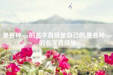 是各种npc的名字直接是自己的,是各种npc的名字直接是