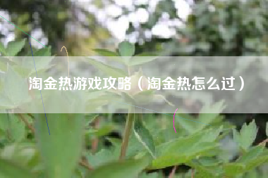 淘金热游戏攻略（淘金热怎么过）