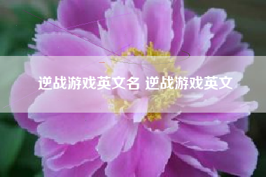 逆战游戏英文名 逆战游戏英文