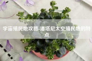 宇宙殖民地攻略-潘塔尼太空殖民地的特点
