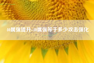 40属强提升-40属强等于多少攻击强化