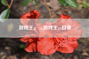 游戏王g x,游戏王gx目录