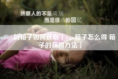 csgo的箱子如何获取「csgo箱子怎么得 箱子的获得方法」