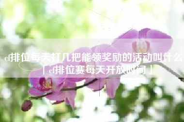 cf排位每天打几把能领奖励的活动叫什么「cf排位赛每天开放时间」