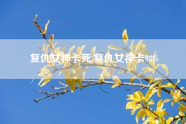 复仇女神卡死,复仇女神卡98%