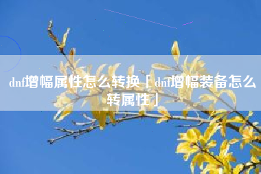dnf增幅属性怎么转换「dnf增幅装备怎么转属性」