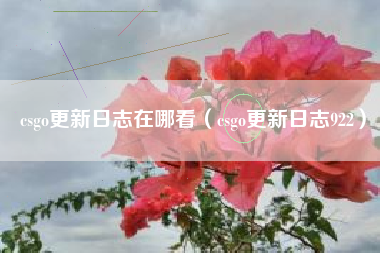 csgo更新日志在哪看（csgo更新日志922）