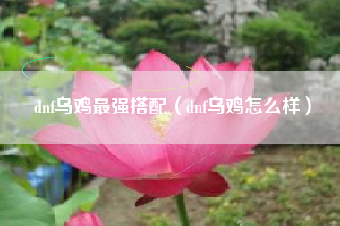 dnf乌鸡最强搭配（dnf乌鸡怎么样）