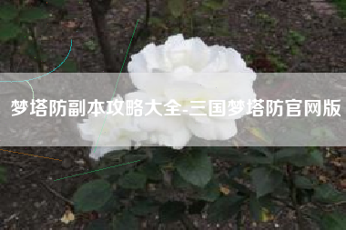 梦塔防副本攻略大全-三国梦塔防官网版