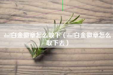 dnf白金徽章怎么取下（dnf白金徽章怎么取下去）