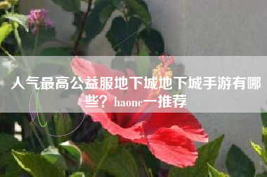 人气最高公益服地下城地下城手游有哪些？haonc一推荐