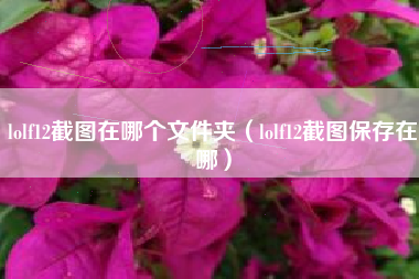 lolf12截图在哪个文件夹（lolf12截图保存在哪）